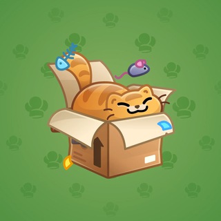 Cat House