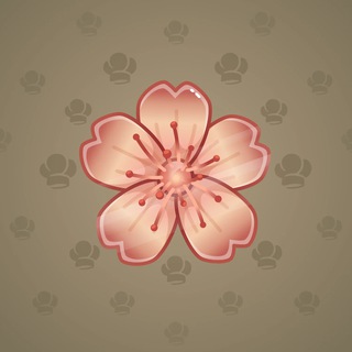 Sakura Flower #48483
