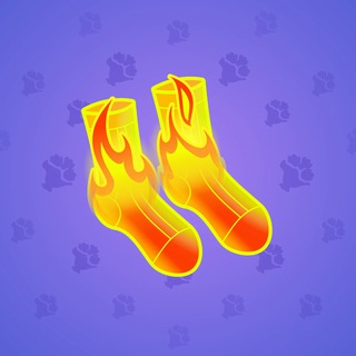 Fresh Socks #50637