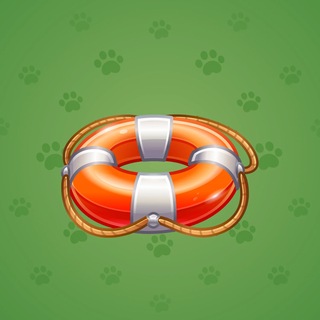 Pool Float #188299