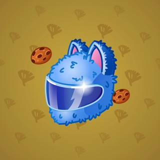 Neko Helmet #12541