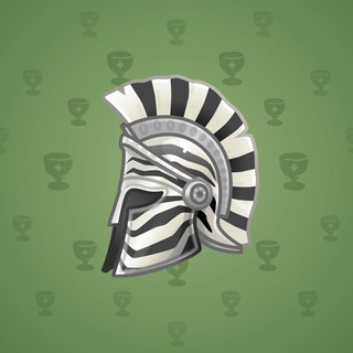 Heroic Helmet #2052