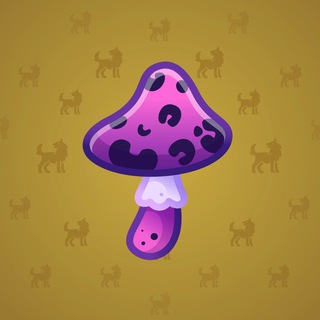 Spy Agaric #48844