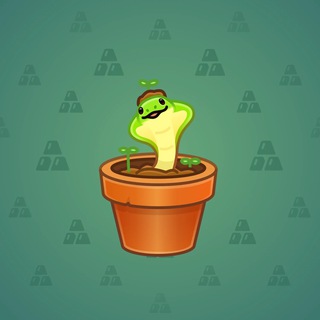Snake Box #90490