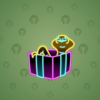Snake Box #98315