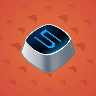 Input Key #5495