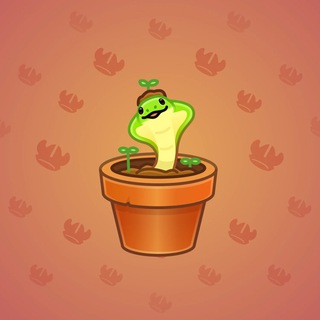 Snake Box #28182