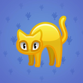 Scared Cat #344