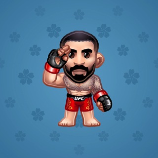 UFC Strike #43399