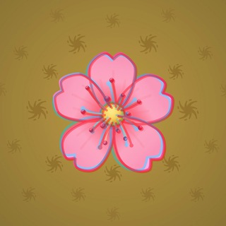 Sakura Flower #41773