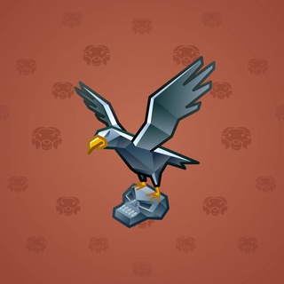 Rare Bird #9549