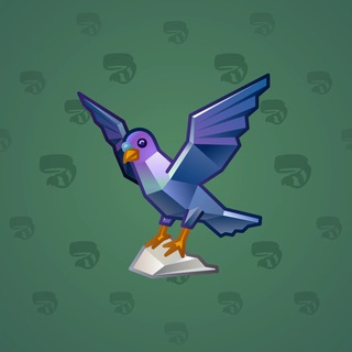 Pigeon