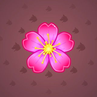 Sakura Flower #65671