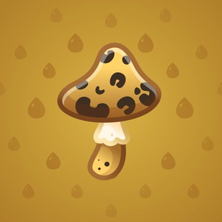 Spy Agaric #44944