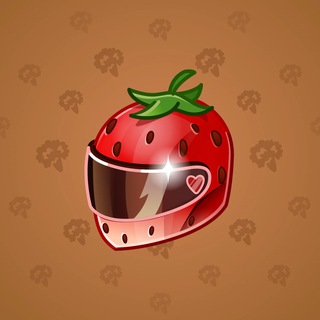 Neko Helmet #12260