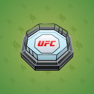 UFC Octagon