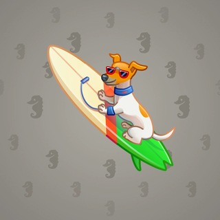 Surge Board #28056