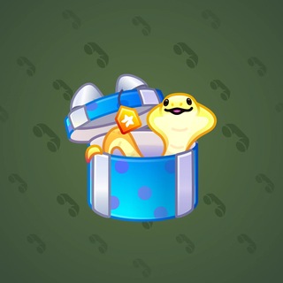 Snake Box #176198