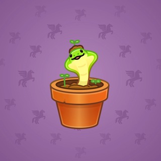 Snake Box #121352