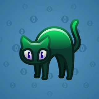 Scared Cat #15877