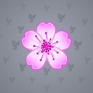 Sakura Flower #70801