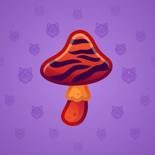 Spy Agaric #15831