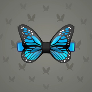 Blue Morpho