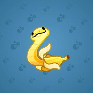 Pet Snake #18499