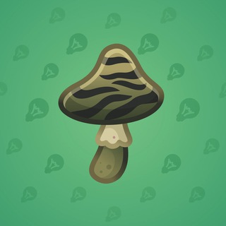 Spy Agaric #41114
