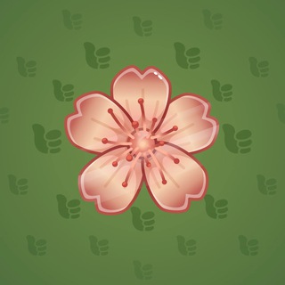Sakura Flower #6325