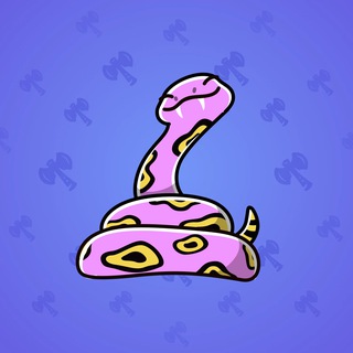 Pet Snake #141991