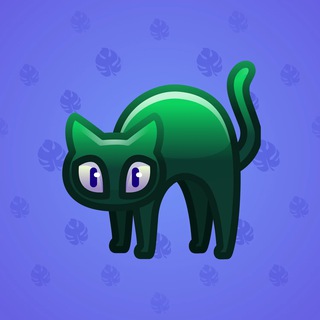 Scared Cat #11716