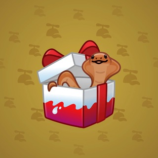 Snake Box #169393