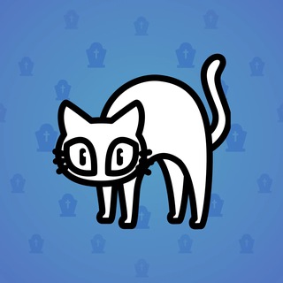 Scared Cat #3491