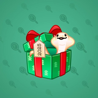 Snake Box #11007