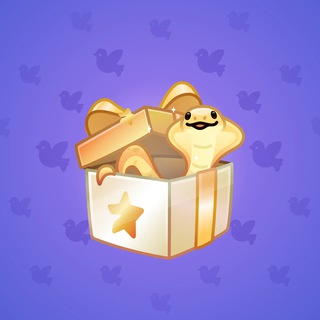 Snake Box #121159