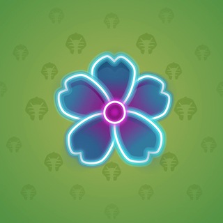 Sakura Flower #58164
