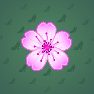 Cosmea