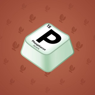 Input Key #107480