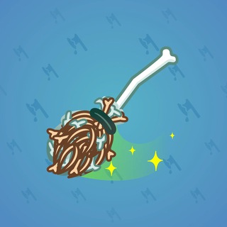 Flying Broom #1148