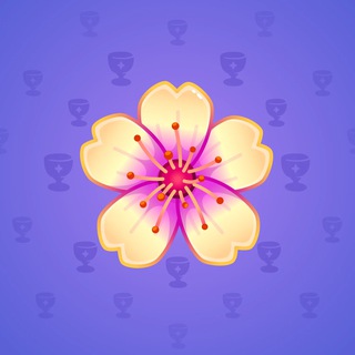 Sakura Flower #24985