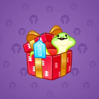 Snake Box #60890