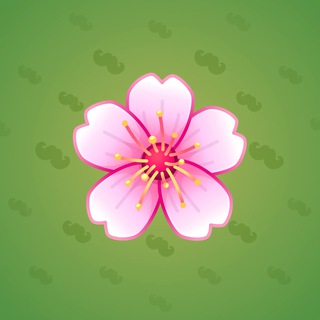 Sakura Flower #26661