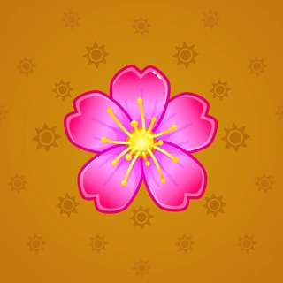 Sakura Flower #23161