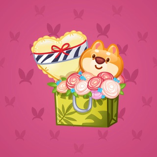 Joyful Bundle #29575