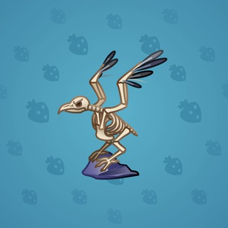 Rare Bird #9539