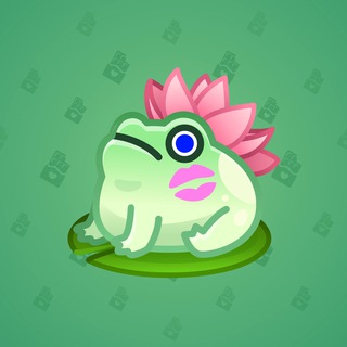Kissed Frog #12854