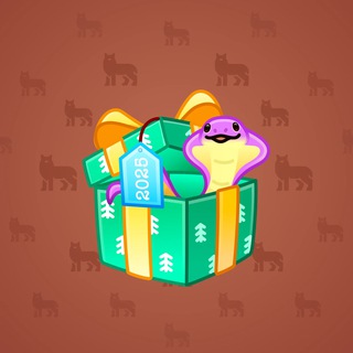 Snake Box #120198