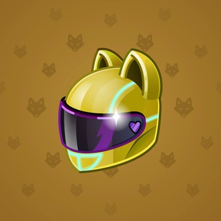Neko Helmet #5919