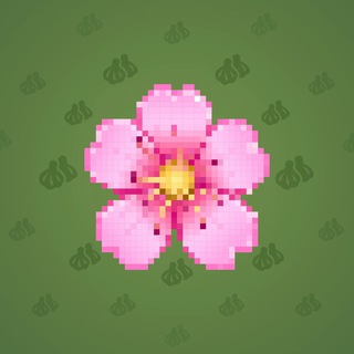 Sakura Flower #13511